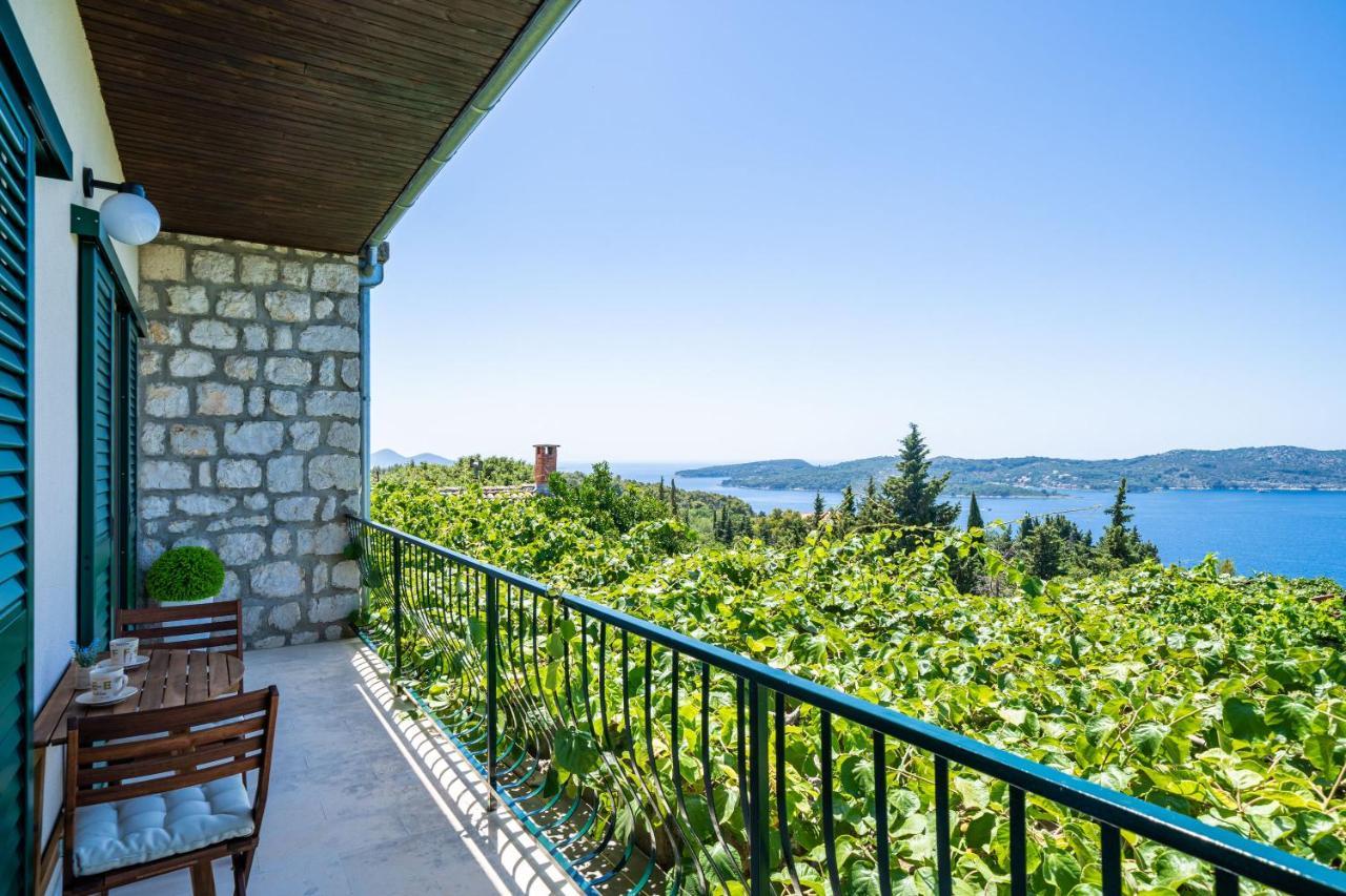 Ponte Apartment Orasac Bagian luar foto